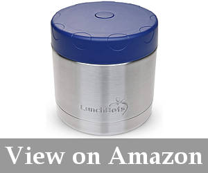thermos for school lunch